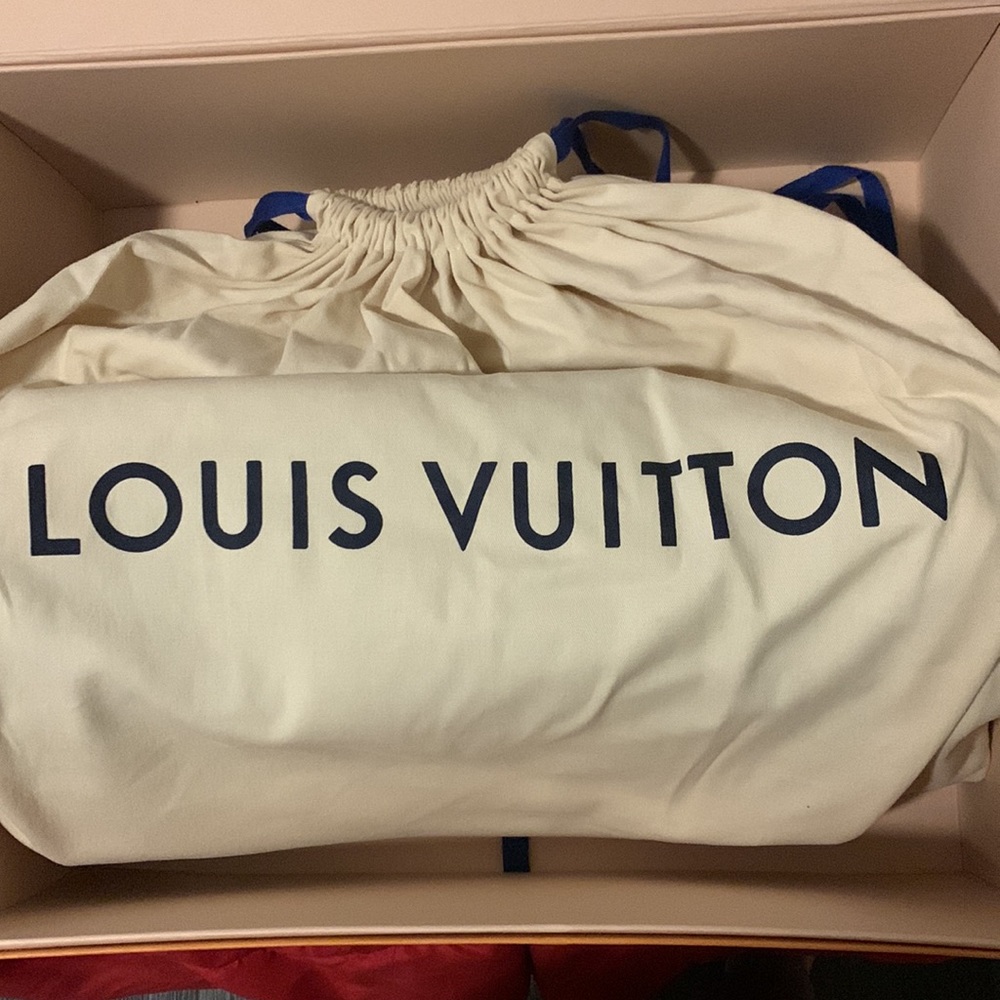 Brown and tan Louis Vuitton bag. Never used. In dust bag, box and shopping bag. - Picture 3 of 4